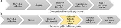 Simulation Modeling for Reliable Biomass Supply Chain Design Under Operational Disruptions